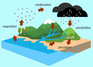 http://www.eschooltoday.com/global-water-scarcity/images/water-cycle.jpg
