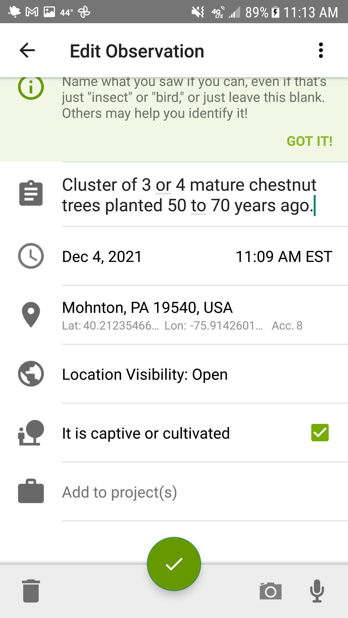 iNaturalist phone app adding an observation with description entered