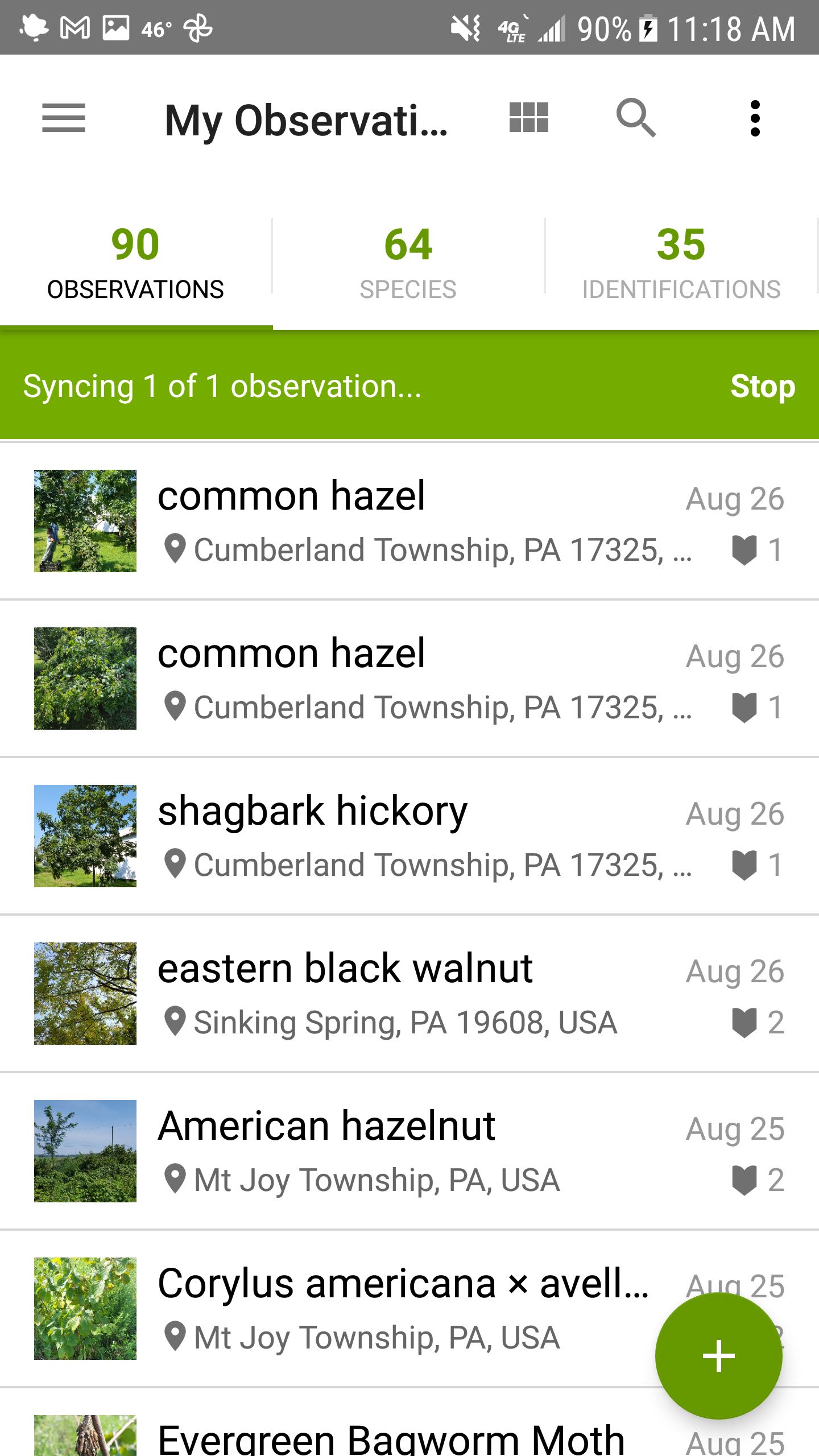 iNaturalist page with observation added and syncing.
