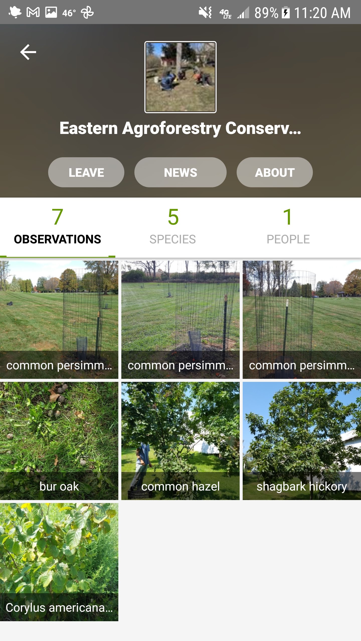 iNaturalist page showing observations in EAC project.